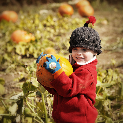 DSC_5009_pumpkin_got-it